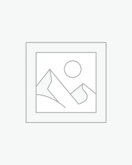 Uncategorized
